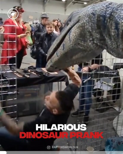 😂 😂 | The London Economic