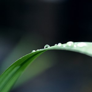 Why Bend Backflow Testing? - Bend Backflow Testing, LLC