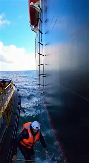 Pilot Ladder Break and Rescue