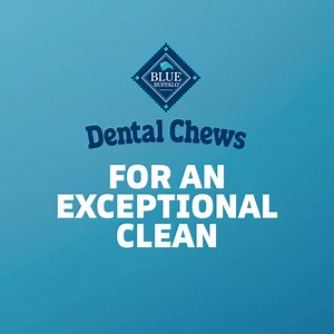 2M views · 209 reactions | Reshape your dog's daily dental routine with Blue Buffalo Dental Chews. | Chewy | Facebook