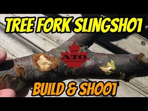 Tree fork build and shoot #naturalslingshot