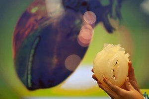 New beating 3D heart tissue may improve cardiac treatment