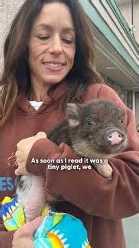 Orphan Piglet Finds A Tiny Dachshund Mom | The Dodo