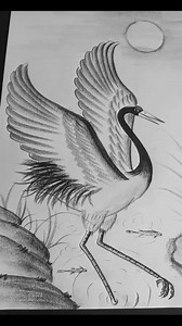 How to draw a beautiful stork by pencil sketch #drawing #art #shorts | SSR Art's
