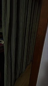 24K views · 430 reactions | wtf is that | Wout Company | Facebook