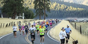 ​Bucket List: 11 Races You Should Run With Your Dog