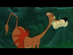 Boomerang Promo | Slap Happy Lion | Resounded.