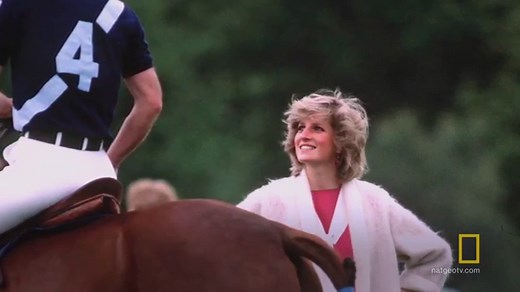The Real Reason Prince Charles And Princess Diana Divorced - Nicki Swift