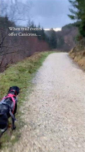 Canicross isn’t a trend or a tick-box. It’s a sport with standards,for safety and welfare #canicross
