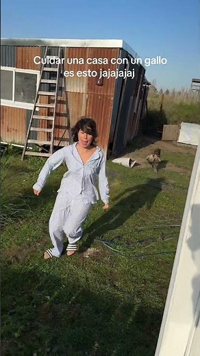 Woman Screams and Runs Inside House as Rooster Chases Her - 1525107