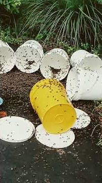 How to CLEAN Honey Buckets!!!! June 29, 2026