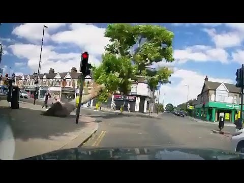 Falling tree narrowly misses pedestrians at London crossroads