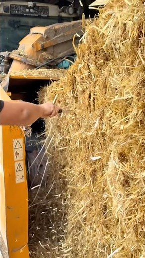 20 Seconds of Real Farm Work 🚜🔥 #farm #farming #farmlife #cows