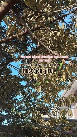 jalur langit solus,shalawat ayat 1000 dinar,diidengr,sampai langit berlapis. #likeandsubscribe