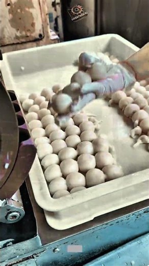 Innovation Automatic Mochi Forming Machine : How to Shape Dough Balls Efficiently