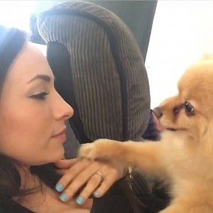 What a pet wants, a pet gets! 🐶🤣 | Peachy