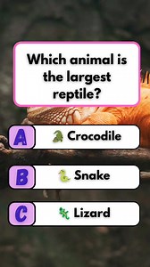 108K views · 11K reactions | Largest Reptile Quiz  #fun #brainteaser #quizz #quizli #quzzle | Brain Bash | Facebook