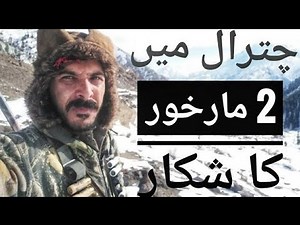 Markhor and Chukar Hunting in Chitral Pakistan | 2 Markhor and Chukar | #markhor #huntingvideos