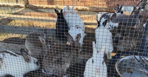 Garrett Farms prepares for fall season with family activities