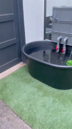 31K views · 162 reactions | Large filter material box #jyaquarium #fishtanks #glassspace #river #pond | J&Y Aquarium | Facebook