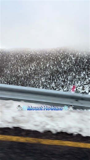 Mount Hotham: Experience Snowy Adventures