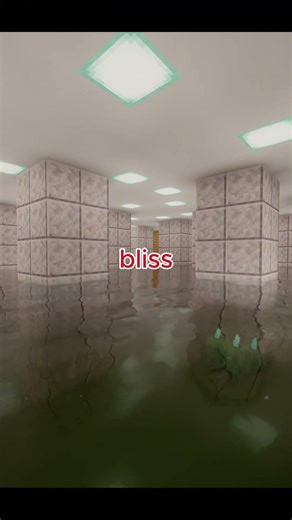 bliss vs complementary shaders #minecraftshaders