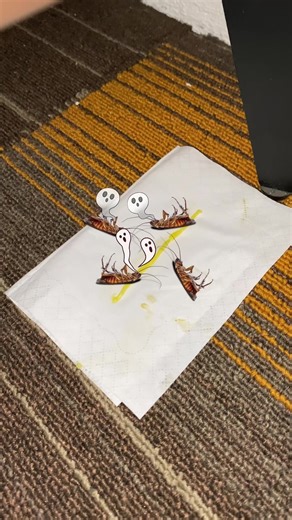 Effective Cockroach Control Solutions for Families