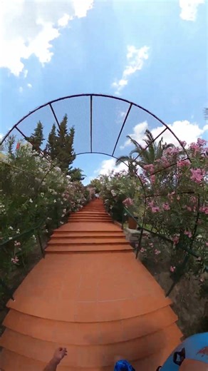 Adaland Aquapark Walk to Yellow Python Water Slide #Shorts