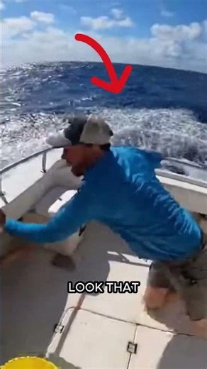 Giant Flying Manta Ray Crashes Into the Boat Out of Nowhere