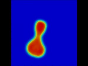 TDDFT simulation: 58Ni+208Pb