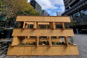 « Wild Futures », un projet architectural et scientifique pour favoriser la biodiversité en ville