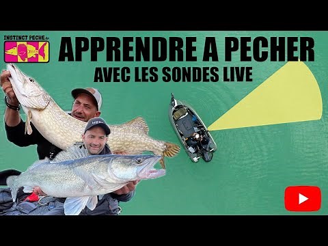 APPRENDRE A PECHER AVEC LES SONDES LIVE