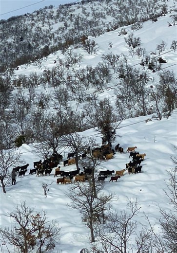 Dersim: Discover the Culture of Çemo