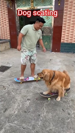 Dog Scater vs Man Scater #funny #comedy #shortsfeed #viralvideo