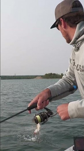 3Pcs Wobbler Fishing Lures for Bass & Trout Fishing 🎣