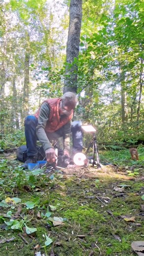 Hello there, little grumpy squirrel model 😏 Thanks for squeezing me into your busy schedule — I know the nut buffets keep you booked solid. 👉 Long videos and bonus clips posted daily on my Patreon! Link in bio. | Squirrels by Fotoscenen