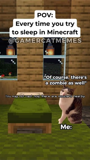POV: Every Time You Try to Sleep in Minecraft