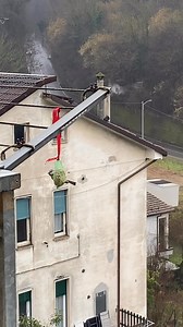 Buongiorno dalle cince della bricchetta | Nicoletta Canepa