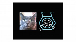 Norepinephrine in Health & Disease - Dr. David Goldstein