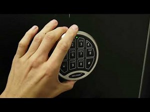 SafeLogic Basic Direct Drive Installation & Operation