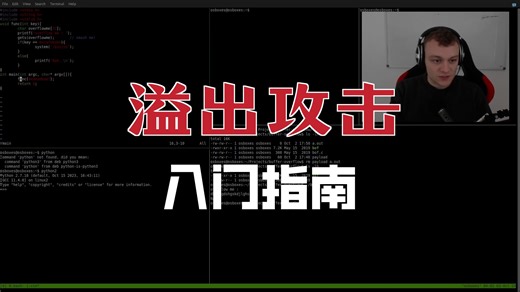 【中文字幕】C 语言中的简单缓冲区溢出攻击演示