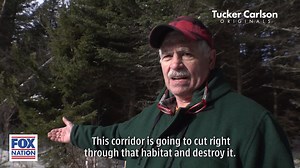 Maine locals speak out against a green energy plot that is threatening to destroy the largest forest in the Eastern United States. Watch more of this "Tucker Carlson Originals" episode, which details just how far foreign energy companies will go to deceive residents and the government. https://bit.ly/2SifO6b | Fox Nation