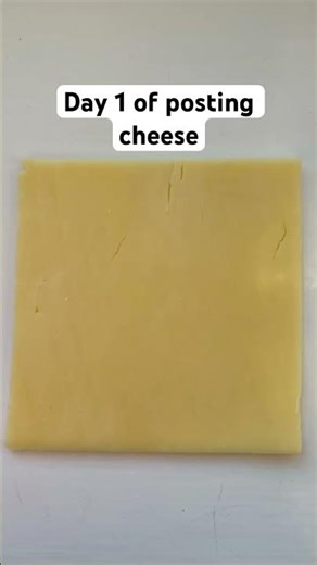 CHEESE #funny #cheese #memes