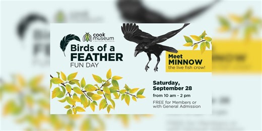 Cook Museum's Fall Break events