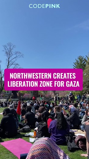 CODEPINK on TikTok