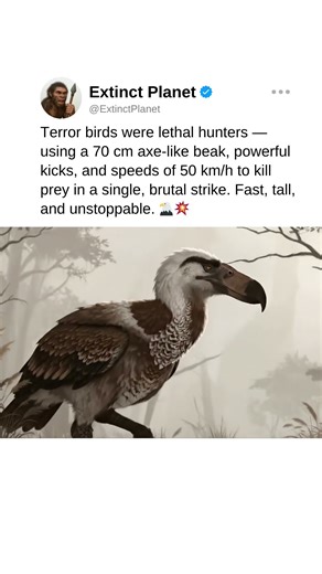 Terror birds: killers with an axe-beak! 🦅💥 #prehistoric #prehistoriclife