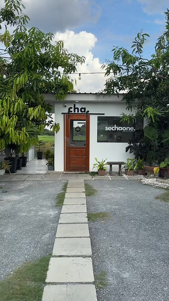 Fresh Coffee Brews and Art in Perlis