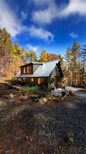 Rustic Log Cabin | Tiny House 2