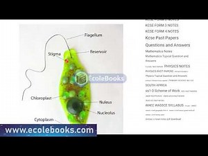 BIOLOGY FORM 1, INTRODUCTION TO CLASSIFICATION OF LIVING THINGS