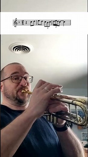 Ole Fanfare #trumpet #trumpetplayer #intheshed #ole #olefanfare #fanfare #fun #music